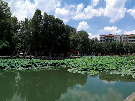 暨南大学校园美景